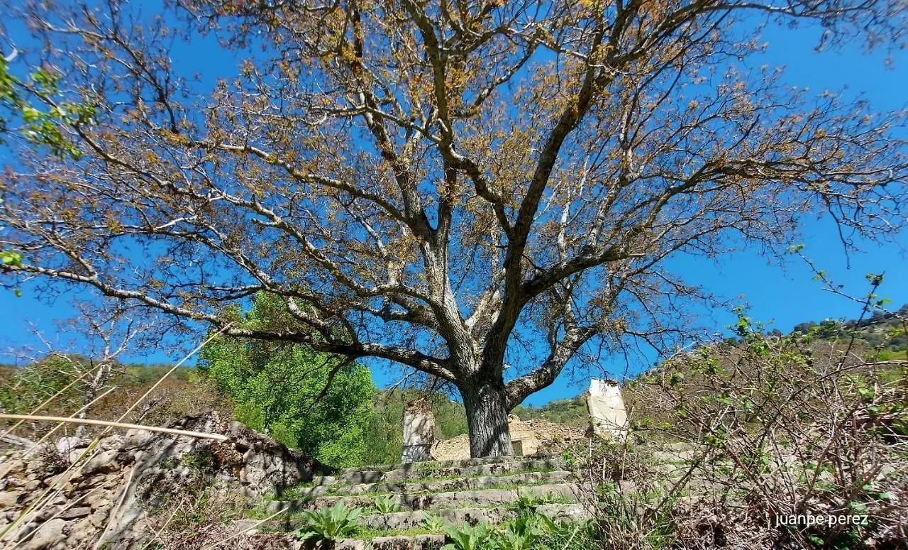 Villa Forastera Arroyo Frio 0*,